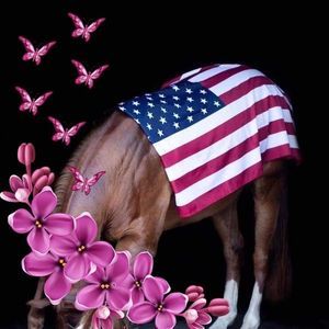 Meet your Posher, Kristie